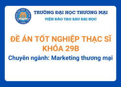 Đề án tốt nghiệp Thạc sĩ khóa 29B - Chuyên ngành: Marketing thương mại
